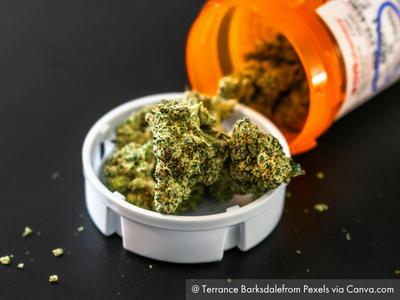 Georgia Proposes Certified Mail for Medical Cannabis Delivery: What the New Rules Could Require | Certified Mail Labels